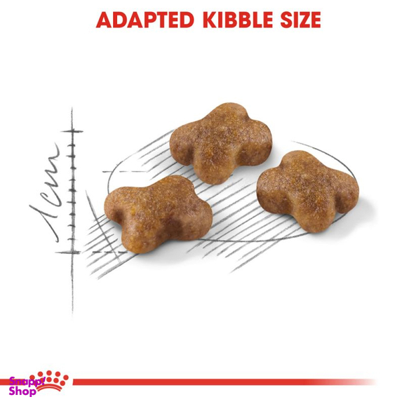 غذای خشک بچه گربه رویال کنین (Royal Canin) مدل Kitten وزن 2 کیلوگرم