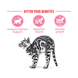 غذای خشک بچه گربه رویال کنین (Royal Canin) مدل Kitten وزن 2 کیلوگرم