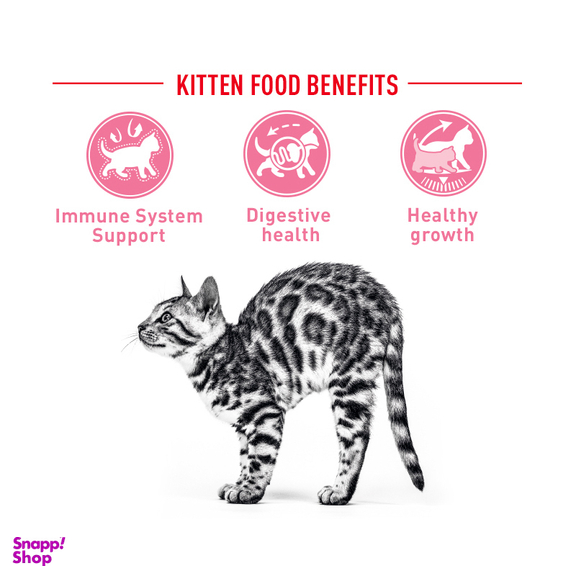 غذای خشک بچه گربه رویال کنین (Royal Canin) مدل Kitten وزن 2 کیلوگرم