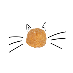غذای خشک بچه گربه سلبن (Celebon) مدل Kitten وزن 2.5 کیلوگرم