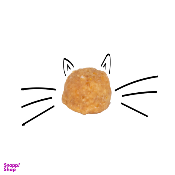 غذای خشک بچه گربه سلبن (Celebon) مدل Kitten وزن 2.5 کیلوگرم