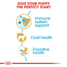 غذای خشک توله سگ رویال کنین (Royal Canin) مدل Puppy Yorkshire Terrier وزن 1.5 کیلوگرم