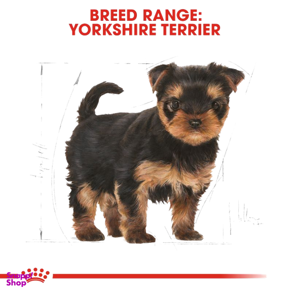 غذای خشک توله سگ رویال کنین (Royal Canin) مدل Puppy Yorkshire Terrier وزن 1.5 کیلوگرم