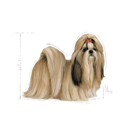 غذای خشک سگ رویال کنین مدل Adult Shih Tzu وزن 1.5 کیلوگرم
