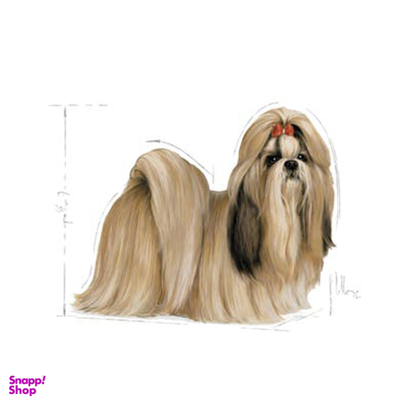 غذای خشک سگ رویال کنین مدل Adult Shih Tzu وزن 1.5 کیلوگرم