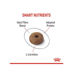 غذای خشک گربه رویال کنین مدل Light Weight Care وزن 1.5 کیلوگرم