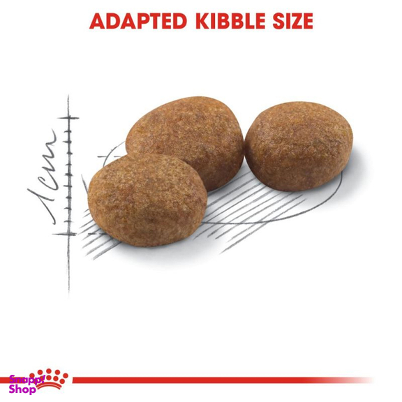 غذای خشک گربه رویال کنین مدل Regular Sterilised وزن 2 کیلوگرم