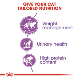 غذای خشک گربه رویال کنین مدل Regular Sterilised وزن 2 کیلوگرم