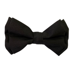 قلاده و پاپیون سگ نیناپت (Nina Pet) مدل طرح دار سایز کوچک 2