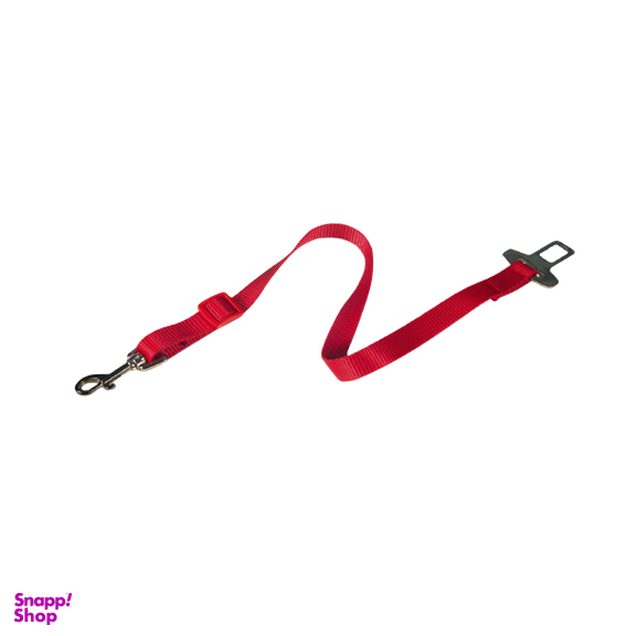 محلول ضد عفونی کننده و تمیز کننده رداسپرینگ (Redspring) مدل Powerful Nano Silver حجم 1 لیتر