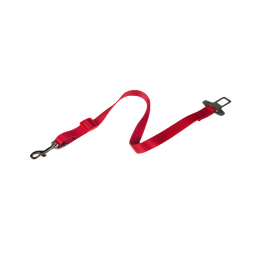 محلول ضد عفونی کننده و تمیز کننده رداسپرینگ (Redspring) مدل Powerful Nano Silver حجم 1 لیتر