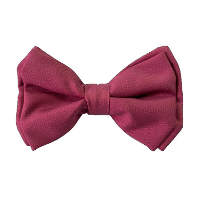 قلاده و پاپیون سگ نیناپت (Nina Pet) مدل طرح دار سایز کوچک 9