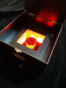 جعبه موزیکال گلنت مدل کشودار کد 010