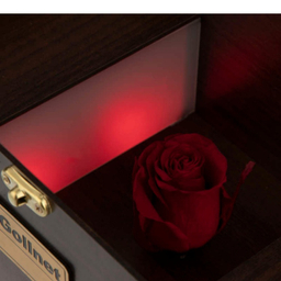 جعبه موزیکال کد 037