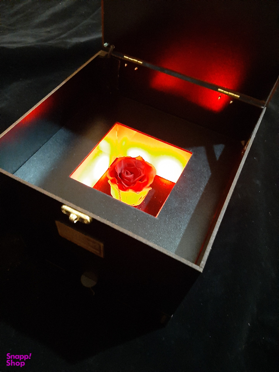 جعبه موزیکال کد 020