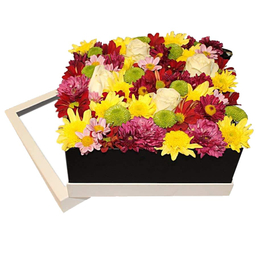 باکس گل گل بازار (Gol Bazar) مدل باطراوت