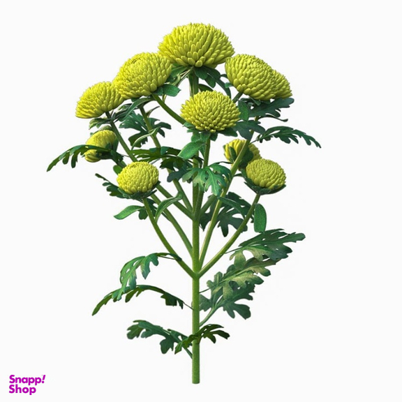 شاخه گل داوودی مینیاتوری کد Y001