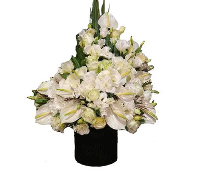 جعبه گل آتیه ایگل (Egol)