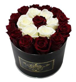 جعبه گل دونا ایگل (Egol) کد C551