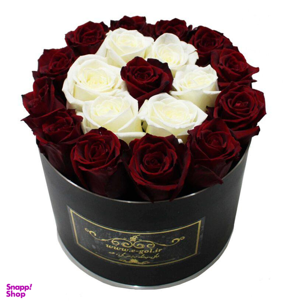 جعبه گل دونا ایگل (Egol) کد C551