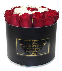 جعبه گل دونا ایگل (Egol) کد C551