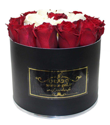 جعبه گل دونا ایگل (Egol) کد C551