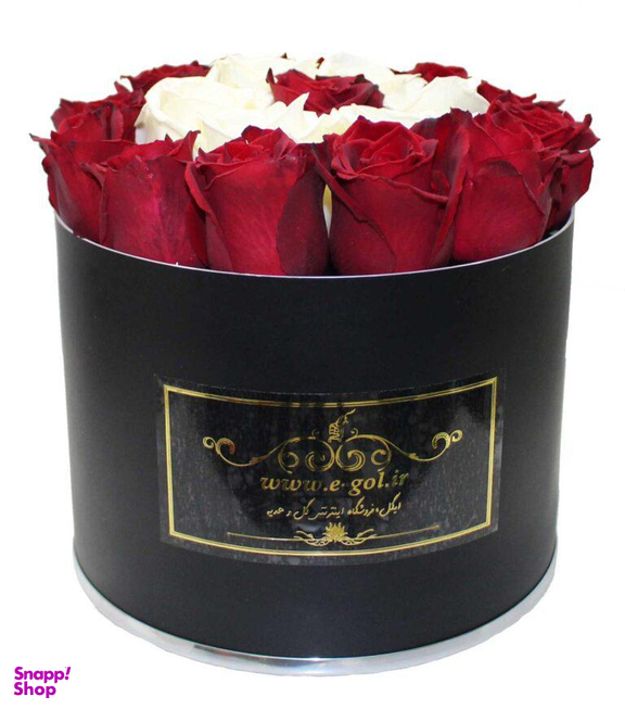 جعبه گل دونا ایگل (Egol) کد C551