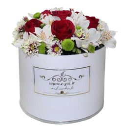 جعبه گل نیلیا ایگل (Egol) کد V569