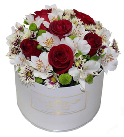 جعبه گل نیلیا ایگل (Egol) کد V569