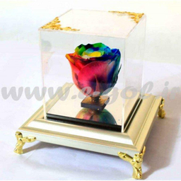 رز جاودان رنگین گمان ایگل (Egol) کد R120