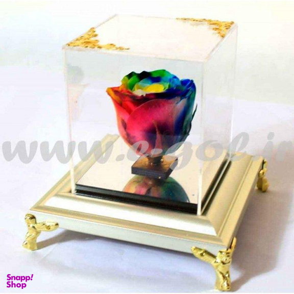 رز جاودان رنگین گمان ایگل (Egol) کد R120
