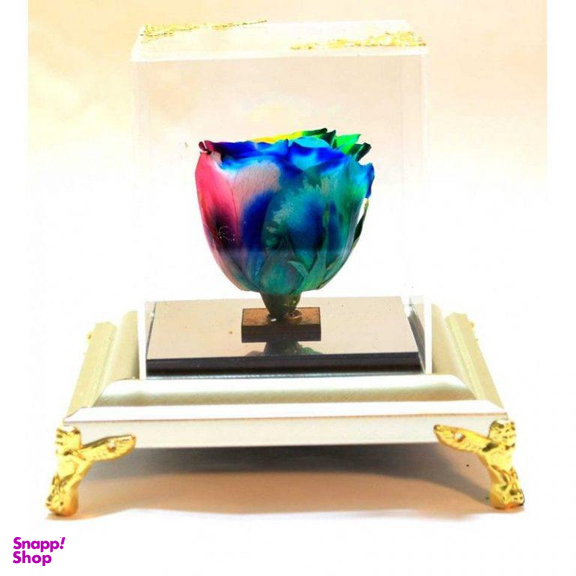 رز جاودان رنگین گمان ایگل (Egol) کد R120
