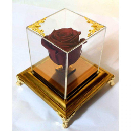 رز جاودان قرمز ایگل (Egol) کد R121