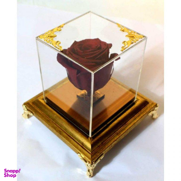 رز جاودان قرمز ایگل (Egol) کد R121