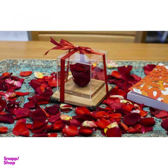 رز جاودان قرمز ایگل (Egol) کد R121