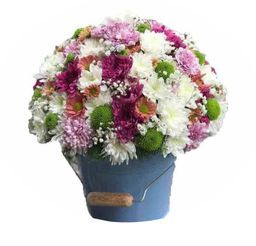 سطل گل فروزش ایگل (Egol)
