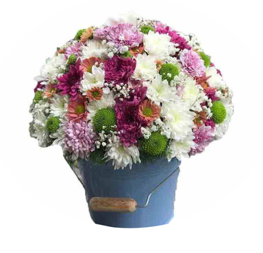 سطل گل فروزش ایگل (Egol)