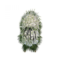 گل ترحیم گلایول و آنتوریوم ایگل (Egol) کد P145