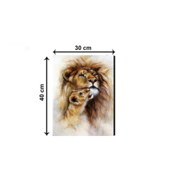 تابلو شاسی ژیوار طرح ZH62 سایز 30x40 سانتی متر