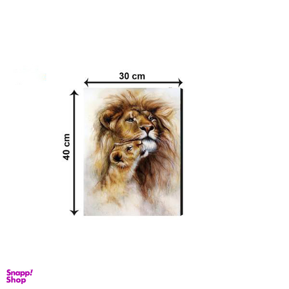 تابلو شاسی ژیوار طرح ZH62 سایز 30x40 سانتی متر