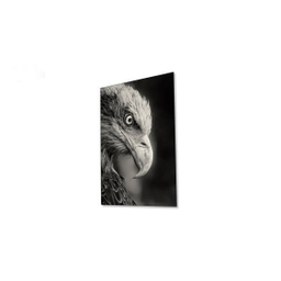 تابلو شاسی ونسونی طرح Blacked Eagle سایز 50 × 70 سانتی متر