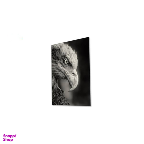 تابلو شاسی ونسونی طرح Blacked Eagle سایز 50 × 70 سانتی متر