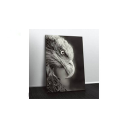 تابلو شاسی ونسونی طرح Blacked Eagle سایز 50 × 70 سانتی متر