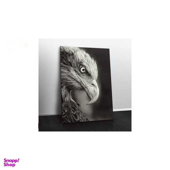 تابلو شاسی ونسونی طرح Blacked Eagle سایز 50 × 70 سانتی متر