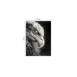 تابلو شاسی ونسونی طرح Blacked Eagle سایز 50 × 70 سانتی متر