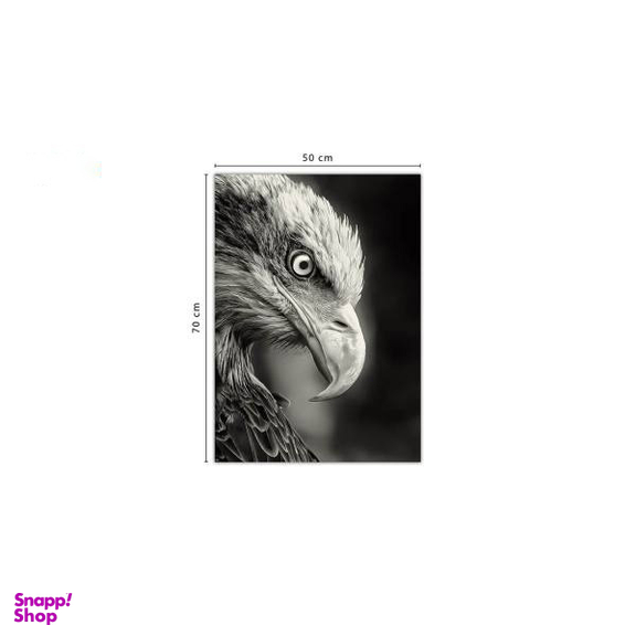 تابلو شاسی ونسونی طرح Blacked Eagle سایز 50 × 70 سانتی متر
