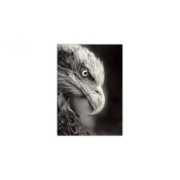 تابلو شاسی ونسونی طرح Blacked Eagle سایز 50 × 70 سانتی متر