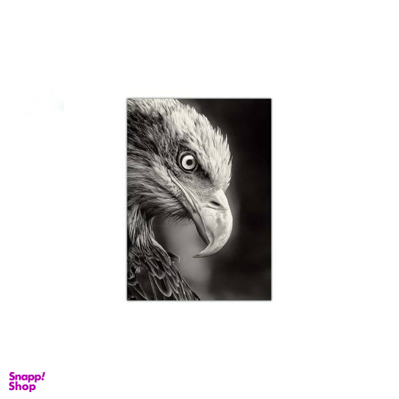 تابلو شاسی ونسونی طرح Blacked Eagle سایز 50 × 70 سانتی متر