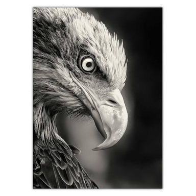 تابلو شاسی ونسونی طرح Blacked Eagle سایز 50 × 70 سانتی متر