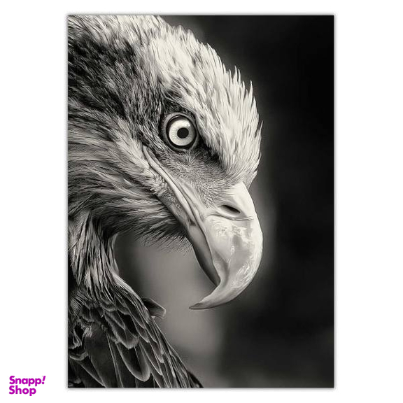تابلو شاسی ونسونی طرح Blacked Eagle سایز 50 × 70 سانتی متر
